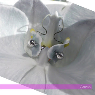 9Mice - Anora