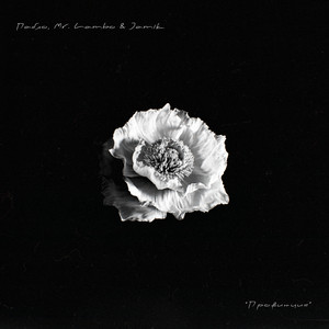 Пабло - Провинция ft Mr Lambo & Jamik