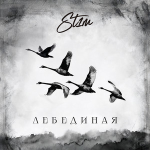 St1M - Лебединая